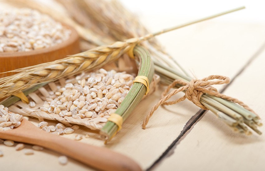 Il grano pugliese e la salute del colon