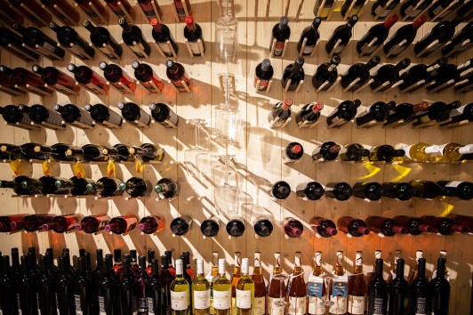 Vacanze con vendemmia