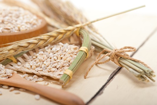 Il grano pugliese e la salute del colon